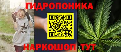 mdpv Брянск