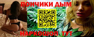 шишки Боровичи